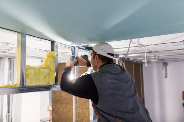 Best Eco-Friendly Insulation in Bear, DE
