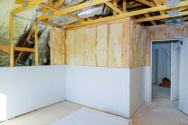 Best Geographic-Specific Insulation Services in Bear, DE