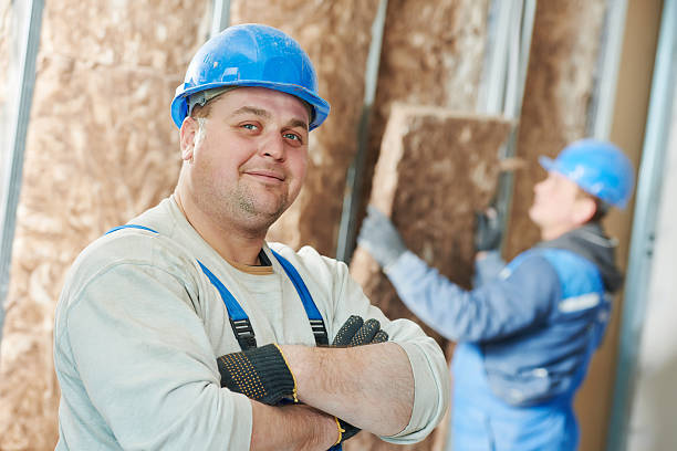 Best Specialized Insulation Services in Bear, DE