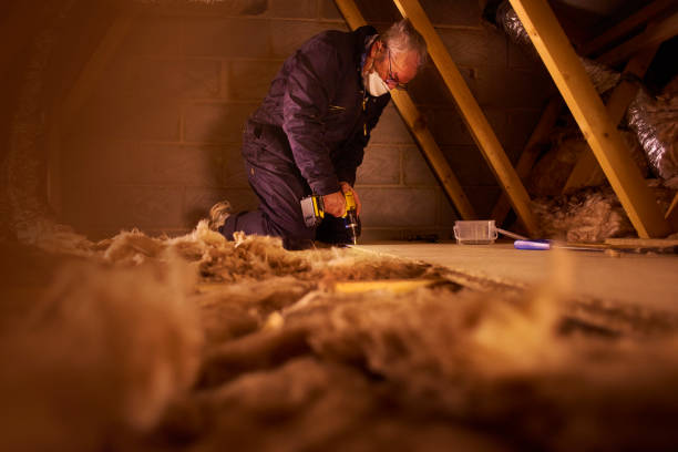 Types of Insulation We Offer in Bear, DE